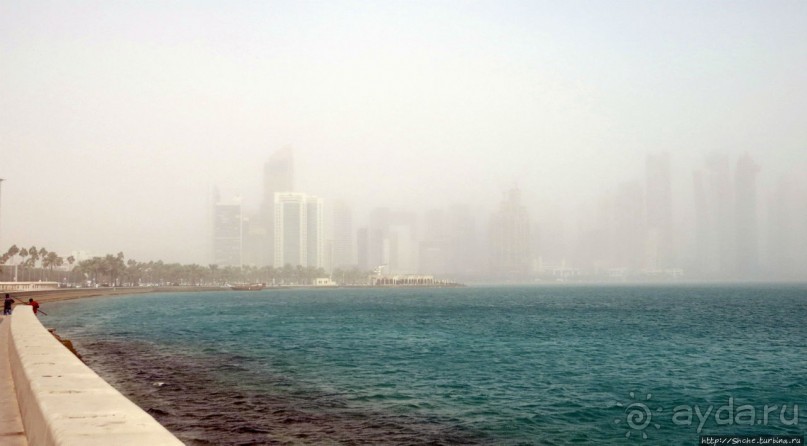 Альбом отзыва "Вышла Доха из тумана"