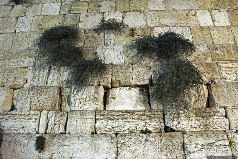 Альбом отзыва "Стена Плача — величайшая святыня иудаизма"